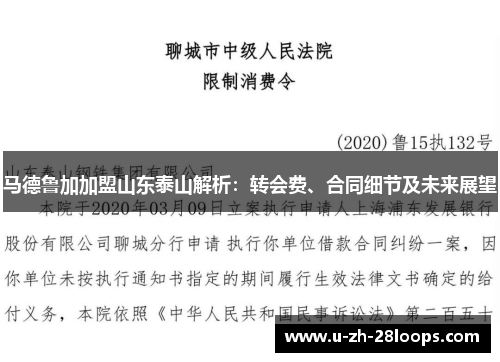 马德鲁加加盟山东泰山解析:转会费、合同细节及未来展望 马德鲁加加盟山东泰山解析:转会费、合同细节及未来展望
