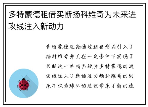 多特蒙德租借买断扬科维奇为未来进攻线注入新动力 多特蒙德租借买断扬科维奇为未来进攻线注入新动力